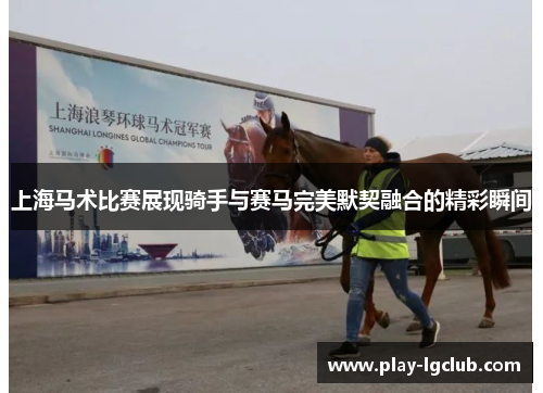上海马术比赛展现骑手与赛马完美默契融合的精彩瞬间