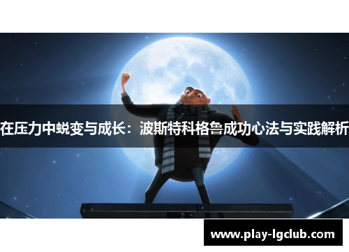 在压力中蜕变与成长：波斯特科格鲁成功心法与实践解析