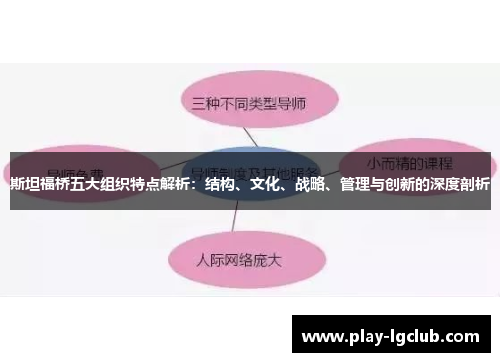 斯坦福桥五大组织特点解析：结构、文化、战略、管理与创新的深度剖析
